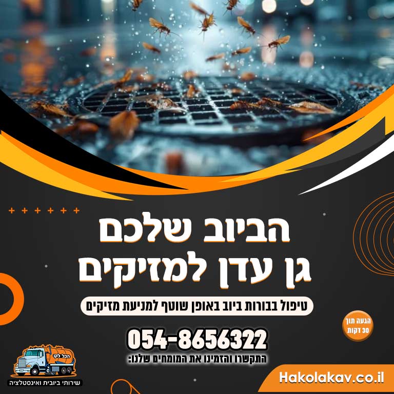 הדברה בביוב